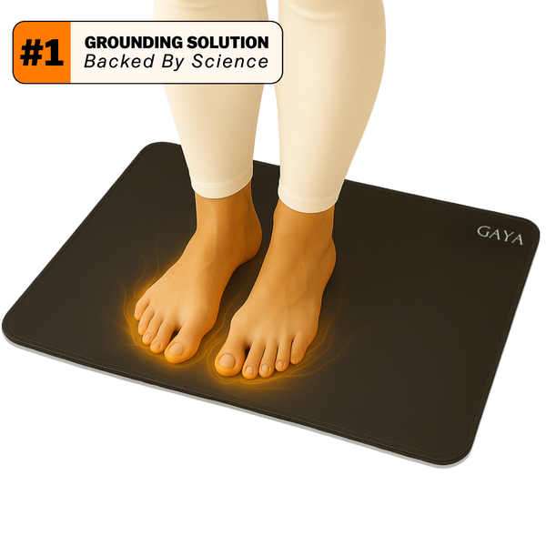 1_ae72e722-a7fc-4740-bbae-