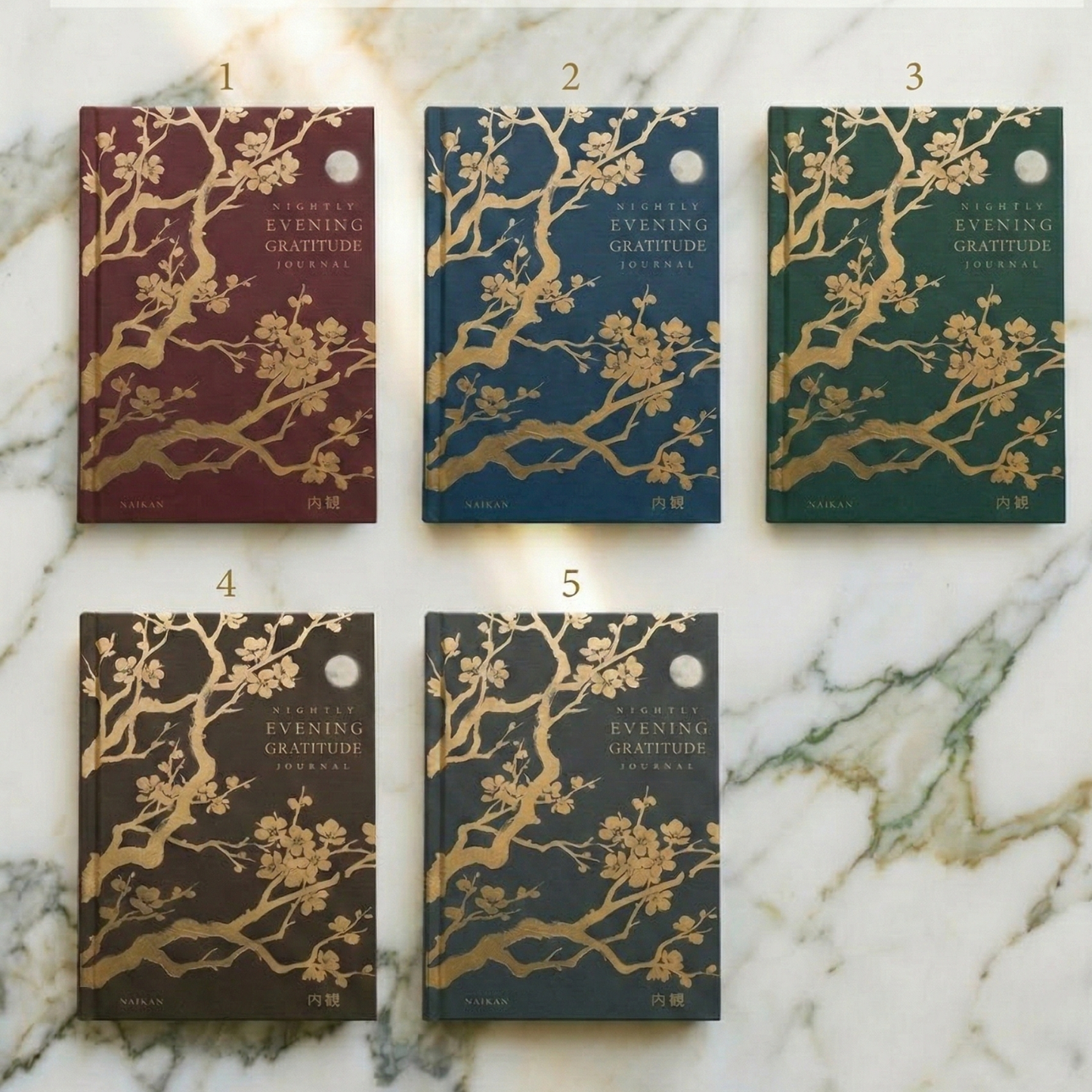 Naikan Journal - 6 Month Reflection Practice