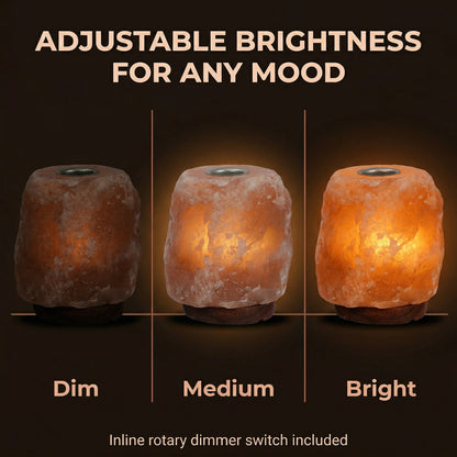 GAYA Himalayan Salt Lamp with Aromatherapy Tray