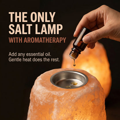 GAYA Himalayan Salt Lamp with Aromatherapy Tray