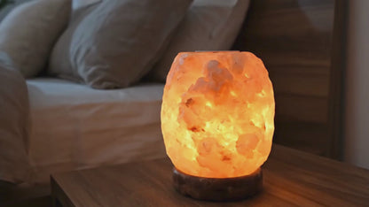GAYA Himalayan Salt Lamp with Aromatherapy Tray